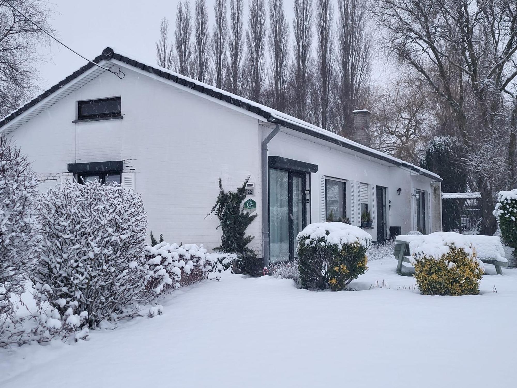 Mary'S Poppies - Bed & Breakfast Blandain Экстерьер фото